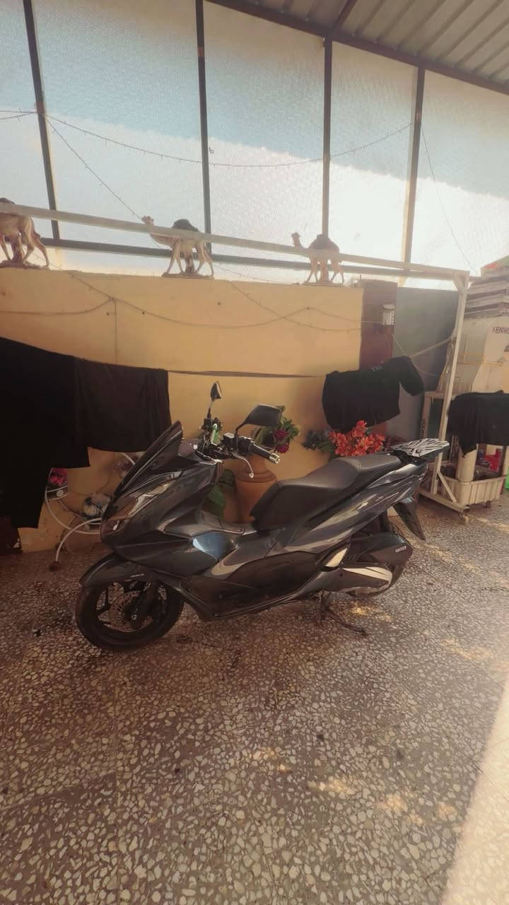 Pcx 4  دراجه نضيفه
موديل 2021 دراجه نضيفه مكينه مكفوله 

ماشيه 18 الف 

مكاني مدينه الصدر 

رقمي   ***********
