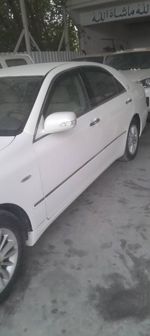 شاهينه قماره فقط
