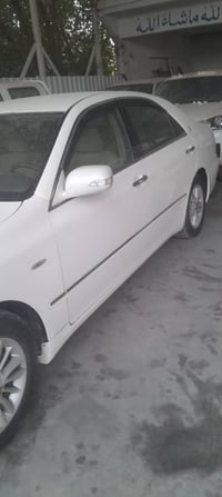 شاهينه قماره فقط