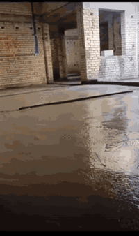 ***********السلام عليكم شباب احنه جماعت الصب اختصاص عملنه تصليط السطوح شرط الماي بل مرزاب وختصاص عملنه ايضاً تنضيف الارضيات من الإنقاذ مع الحدل ورش المبيد والصب داخل البصرة ***********
