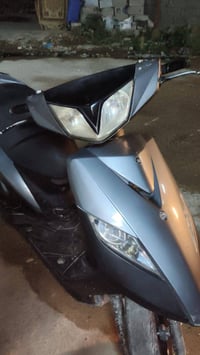 للبيع ماكس ثعلب بلاديه مختمه الزعفرانيه 07722527281