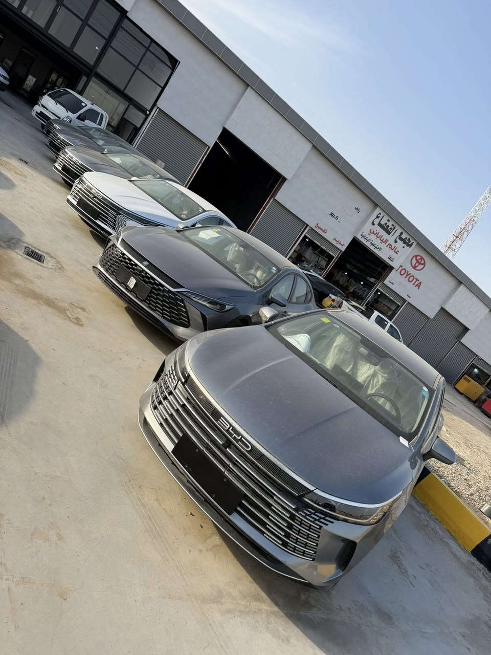 يالله
عروض تحطيم الأسعار  جوه السوك أبيع جوه السوك اريد احرك الأسعار  هاا بشرط سيارات مرقم وجاهز 

أريد  تروح تعامل وتجي البيعلك جوه سوك حجي 

الجن بلاس 

و الدسترويل 

حرك الأسعار حجي بس يم شركه نجوم اليمامه 

اتصل حجي وتدلل عروض 

عنوان الشركه ديالى بعقوبه 

العرض هاذا يومين فقط 

‭٠٧٧٧ ٩٣٩ ٨٧٧٩‬
