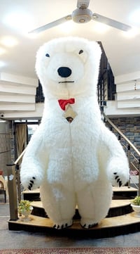 ازياء تنكرية نفخ مع ملحقات التشغيل  ولبسات تنكرية مختلفة  وبضاعة DHL (...