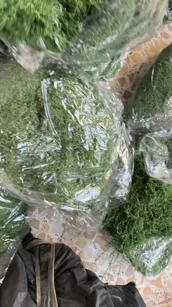 توفر العشب الاصطناعي  الكيس 100g سعر الكيس 7 الف
فاتح وغامق


**إذا كنت صاحب هذا الإعلان وتريد حذفه لأي سبب، رجاءا أرسل رسالة إلى الدعم الفني**