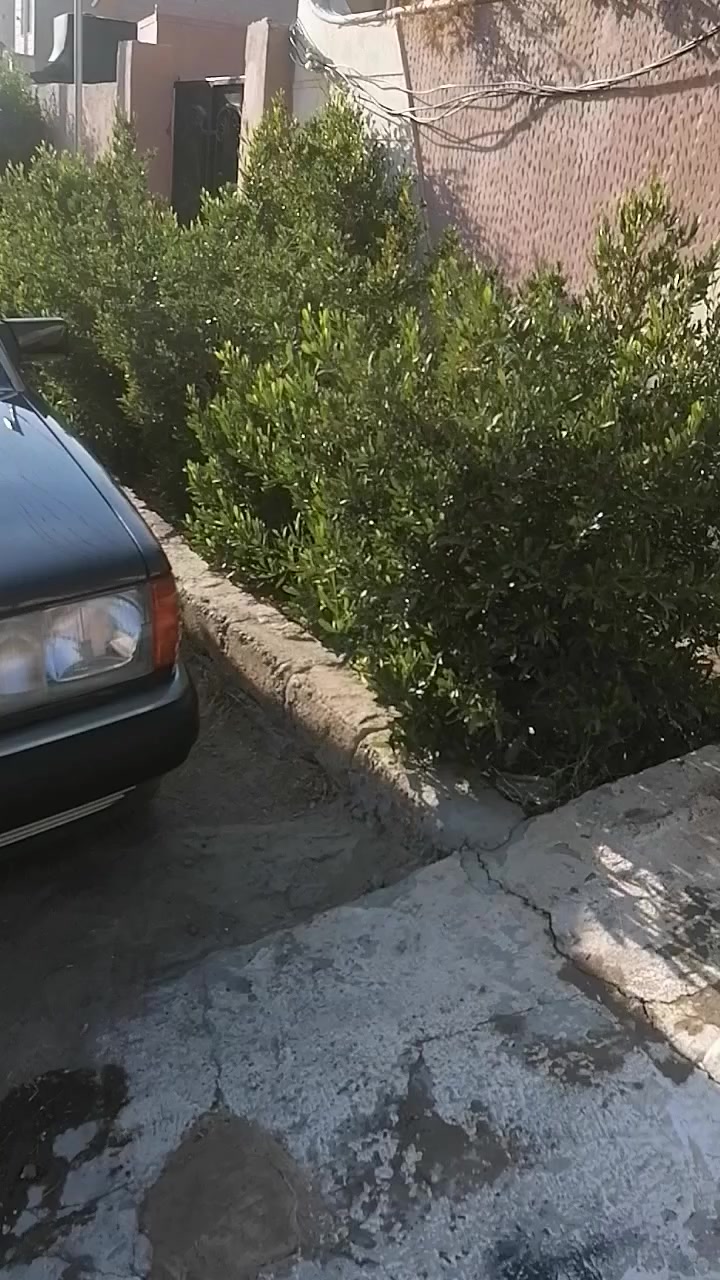 مارسيدس 190 موديل 1990 محرك 3000 vvt سيارة جاهزة بدون خياس كهربائيات فول تبريد تدفئة صدر امامي خلفي تخم تاير شاشة اندرويد سنترلوك ريموت لايتات لد ابيض ثلجي دواخلهة نضيفة مابيهة اي نقص رقم سليمانية دولي السنوية لل2029 شرط التحويل  السعر 65 ورقة مكاني تكريت للاستفسار الاتصال على الرقم *********** او مراسلتي على الخاص
