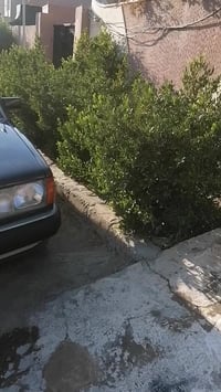 مرسيدس 190 • ١٩٩٠ • ٣٠٠٠ VVT