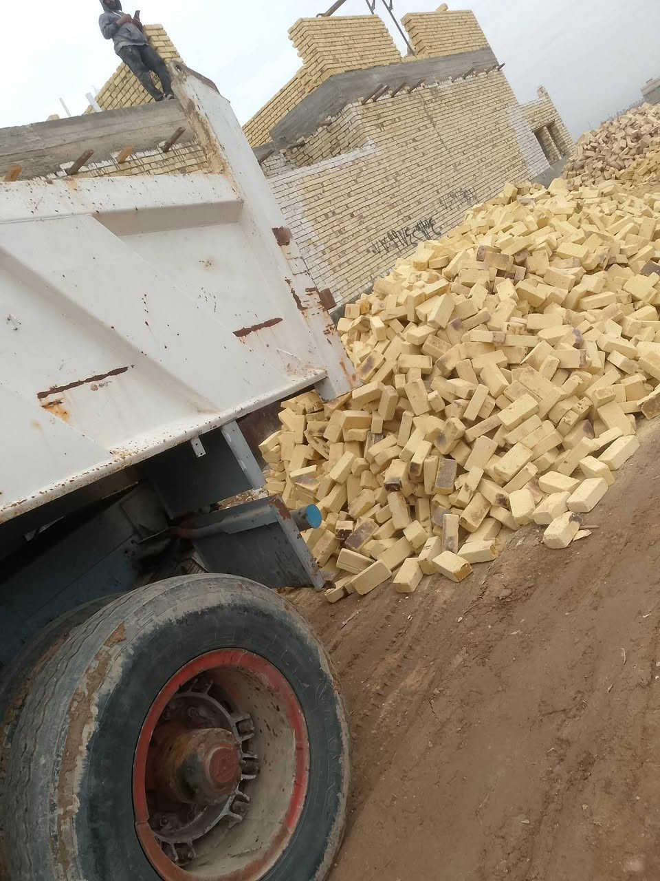 السلام عليكم ورحمه الله وبركاته طابوق بدره درجه اولى شرط المكلاب توصيل كافه المحافظات مستعدون تجهيز كافه الدوائر الحكومية الاستفسار ***********
