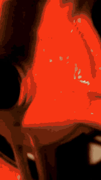 السلام عليكم
دراجه شحن للبيع 918 موديل 2025 من مصنع ونلي الاصلي دراجه كله شرط فول مواصفات الايت عالي وناصي اشارات يمين يسار نضام P  منفذ USB  للشحن موبايل تايرات جدد دبلات رياضي نضام R بك رجوع للخلف بريكات دهن هايدروليك  بلوتوث MB3 بطاريات عدد 4 دبل سرعه 80 حقيقي دراجه جديده سعره 275 بي مجال بس حك الجيه 
رقم ***********
