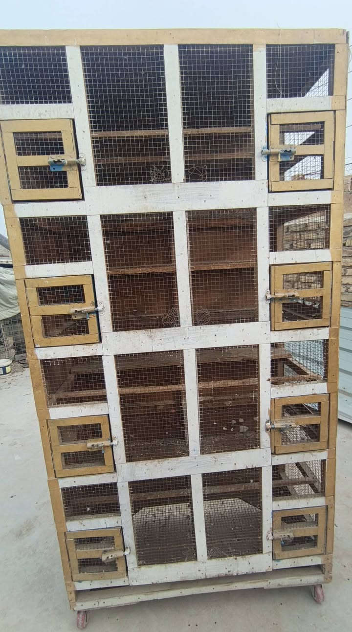 السلام عليكم قفص اربع خانات للبيع السعر 110 والثاني سعره 40


**إذا كنت صاحب هذا الإعلان وتريد حذفه لأي سبب، رجاءا أرسل رسالة إلى الدعم الفني**