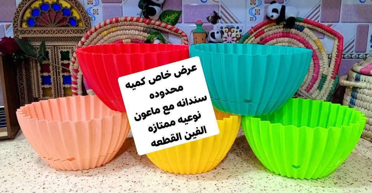 ❤️لكثرة الطلبات 🌹
🪴يتوفر لدينا جميع اكسسوارات نباتات وسنادين بلاستك نوعيه ممتازه 🦊🪴 🐼 
🚕توصيل كل محافظات العراق 🚕 
🪴الزرع لعرض فقط 🪴 
يتوفر جمله ومفرد 🐼 🦊 
حجز على خاص ☎️
📞***********📞

🐼تتوفر لدينا جميع اكسسوارات نباتات 🐼
🪴و سنادين مختلف الأشكال والأحجام والألوان 🕊️🐝🐞🐦🕊️🦋🐦🐞🌿🍄🕊️🐞🦋🐦🍄🌿
متوفر دعسوقات 🐞 🐞🐞🐞
ونحلات لاصقه 🐝🐝🐝🐝🐝
وفراشات 🦋🦋🦋🦋🦋🦋
فطر زينه 🍄🍄🍄🍄🪴💕
1-🐼باندا او سنجاب 🐼 
 2🐞
4-🐞وسط ٢٠ وسط جيس الف 🐞
5-🐞دعسوقة خشن ١٠ قطع با الف 🐞
6-🐞دعسوقة ملون ١٠ قطع الف🐞
7-👍كف ١٠ قطع الف 👍
8-🐦عصفور ٥٠٠ القطعه 🐦
9-🪴غصن مترين رفيع  الواحد الف 🪴
10-🎊نشر ضوئيه مترين الف 🎉🎊
11-🌹🐝
12-🌹🍄🐝🐝
13-🌹🦋🦋🌹فراشه عاديه لصق وجهين و مغناطيس ١٠ قطع با الف🦋
14-❤️جيس ١٠ قطع  ماسك لبلاب كف 
١٠ قطع الف👍
15-🍄١٠ قطع فطر اكبر شويه الف 🍄
18-🪴ماسك لبلاب الف 🌿
🦋
19- فراشات سيم صغيره  ٤ سم 4 با الف🦋
🦋٧ سم ٣ با الف🦋
🦋٨ سم و ٩ سم  ٢ با الف🦋
20-فطر ملون صغير 10 با الف🍄
21-دعسوقة ام عوده ملون جيس 10 قطع الف
22-فطر احمر كبير او صغير جيس الف🍄
23-فطر ملون  صغير او كبير جيس الف 🍄
26- حجر ملون فقط جيس الف 🔵🟣🎊
🪴الزرع لعرض فقط🪴 
#توصيل كل #محافظات_العراق
#بغداد #ناصريه #نباتات #ديوانيه #زرعاتي #سنادين_ورد #ديكورات #نباتات_منزلية_داخلية #نواعم #بابل #البصره #ديالي #واسط #المثني #ديكورات_خشب
#سناد #سناد_زرع #نباتاتي
