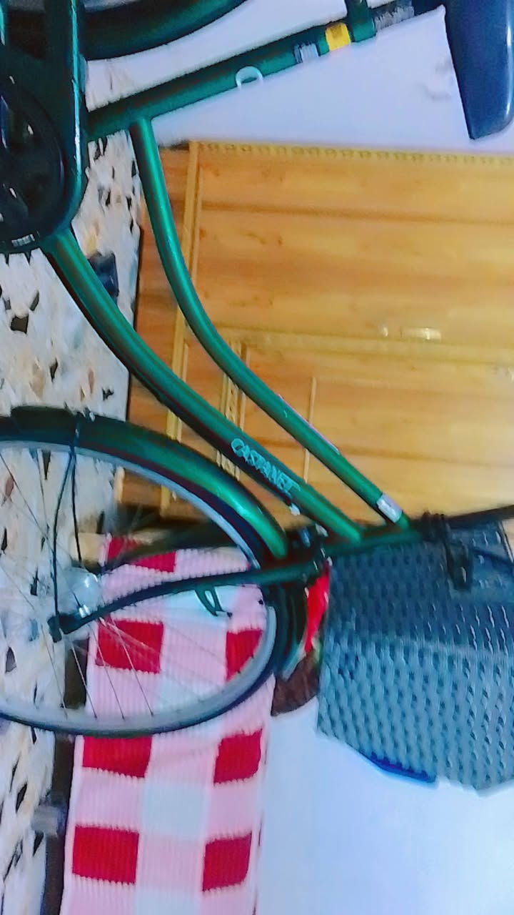 السلام عليكم بايسكل للبيع اللون خضار البايسكل موديل 2010 البايسكل ياباني وكله 2010الا الويل الخلفي تجاري السعر 100وبي مجال قليل  العنوان بغداد الأمين الثانيه نواب الضباط شارع رزاق ابو الفلافل للاتصال على الرقم ***********
