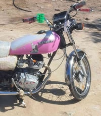 تايجر • كامله • ناصريه