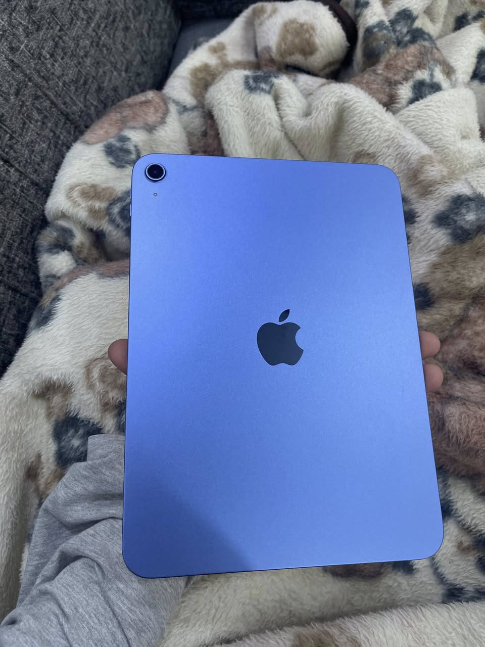 ايباد 11 معالج A16  ايباد جديد بعده بحالة الوكاله برقي ما مفتوح بي  مكفول كفاله عامه بطاريه 95 وبعده جديد اشتريته اكفله إلك كفاله عامه كارتون والشاحنه بختصار كامل ملحقاته مكاني البصره ابو الخصيب سعره 400 وبي مجال قليل رقمي ***********
