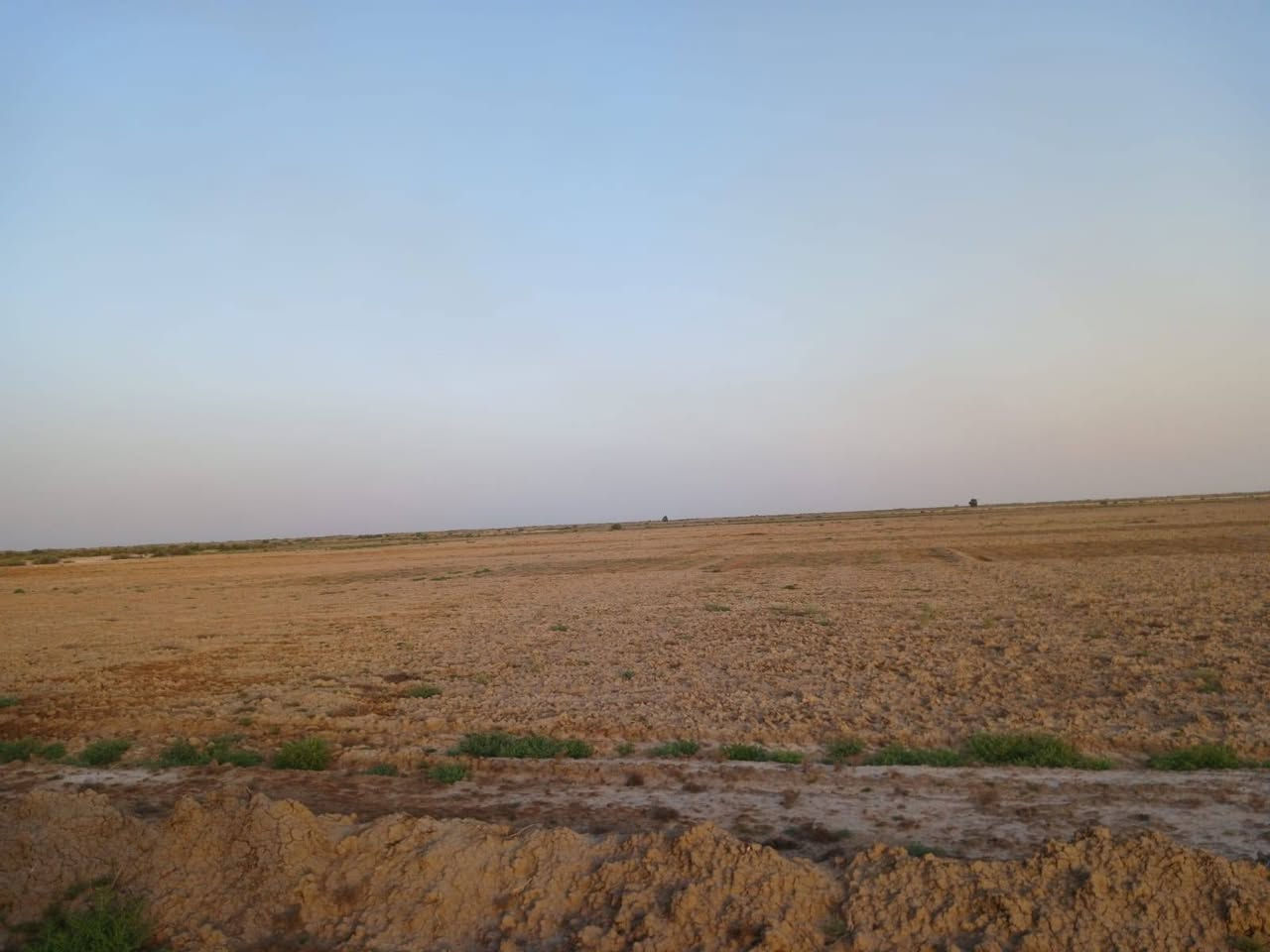 ١٣٠ دونم طابو زراعي سند ٢٥ تقع في قرية حلب الارض معدلة ليزر وجاهزه للزراعة ومبزلة وتوجد لها حصة مائية خلال الموسمين ويمكن استخدامها لزراعة الشلب تحويل مباشر بالسند للاستفسار ***********/***********
او مراجعة مكتب أمتار للعقار
