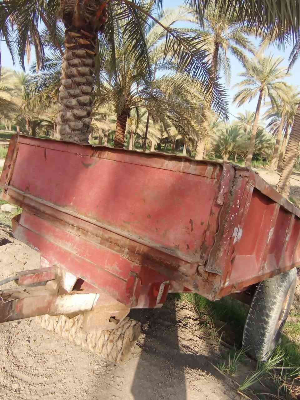 عربانه للبيع شرط الشغل
‏‪***********‬‏
