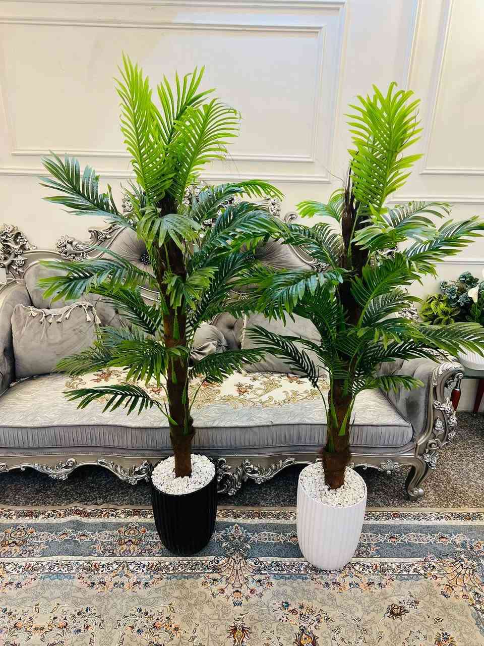 اشجار سايكس ✅


**إذا كنت صاحب هذا الإعلان وتريد حذفه لأي سبب، رجاءا أرسل رسالة إلى الدعم الفني**