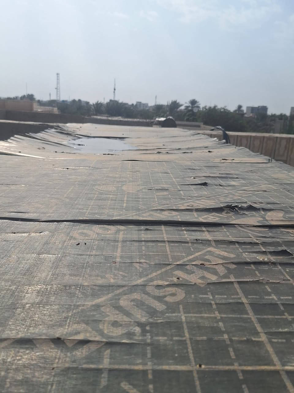 السلام عليكم
قفص للبيع نضيف 
مكاني السماوة


**إذا كنت صاحب هذا الإعلان وتريد حذفه لأي سبب، رجاءا أرسل رسالة إلى الدعم الفني**