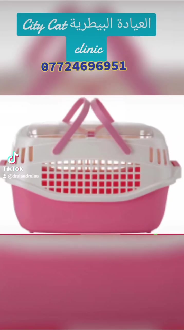 #جمعية #الجمعية #حله_كربلا_ديوانيه_بصره_اربيل_موصل_ديالى #نتيجة #اسهال
