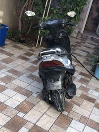 ماكس ثعلب • ١٤٠ • زينة