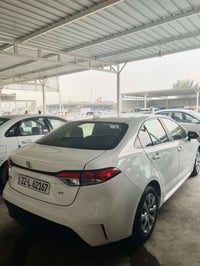 كورولا • ٢٠٢٠ • أربيل