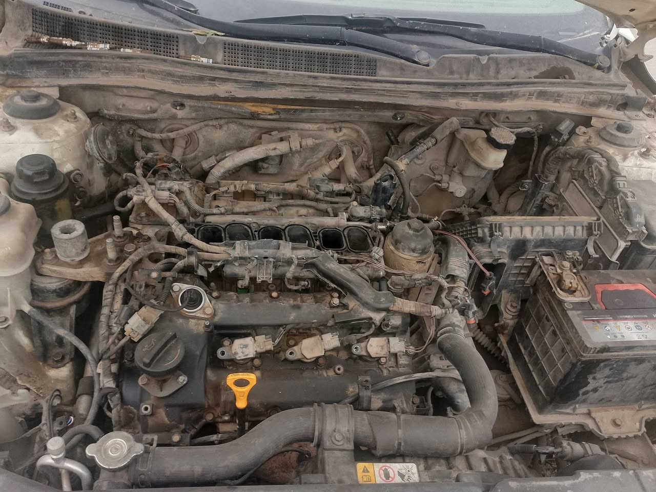 كيا كادنزه موديل 12 خليجي 
محرك 3500
محرك كايم 
بيها بنيد مبدل و دعاميه وجامغ بصف سايق راجع نفسه 
سياره متروكه ابيع ع وضعها 
رقم سليمانيه سنويه 28 
مكان بغداد حي جامعه قرب شارع الربيع 
سعر 80 بي مجال عليها غرامه 390 
طلبه بالتعليق 

#ادارة_الصفحه ⚡
 @أبرز المعجبين 
*********** وتساب  مكلف
