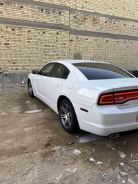 ابيض صدفي • ٢٠١٤ • قطعتين صبغ