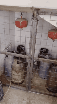 شقة للايجار طابق اول  تفاصيل بلتصويررر  ايجار 550 للاستفسار الاتصال  0...