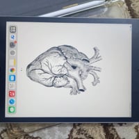 آيباد ٩ • ٦٤ • قلم وحافظة