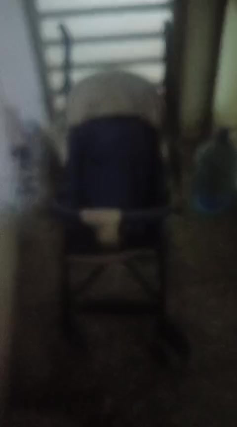 عربانة للبيع قليل استعمال


**إذا كنت صاحب هذا الإعلان وتريد حذفه لأي سبب، رجاءا أرسل رسالة إلى الدعم الفني**