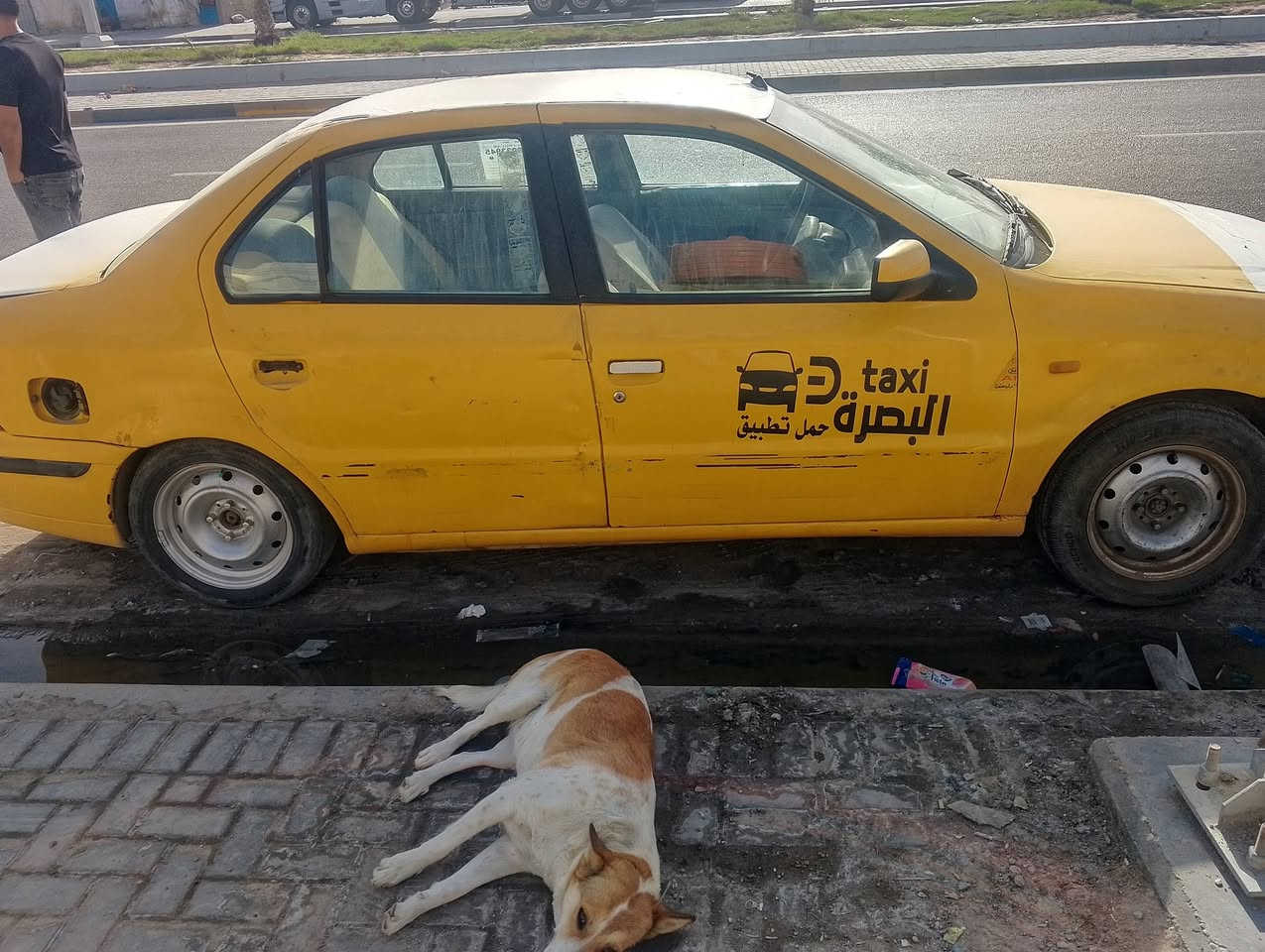 وينه الي يدور على كد الحال امكانيته ضعيفه سمند مديل 11 رقمهه نجف الماني السنويه  ضايعه او بيهه عاده موجوده صورتهه مكانهه الحيانيه اكبال المعارض الجديده سعرهه 11 او بيهه مجال لطيبين او ترهم قصد كلي مقدمتك او انا خادم الك بيهه مكينه او كير تشلع الكاع استوهه امجفته جيب مقدمته او ضمانك او تعال اخضهه سعر مناسب حتى بل قصد *********** بدون راعي السياره
