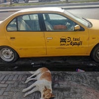 سمند ٢٠١١ • رقم نجف • الحيانية