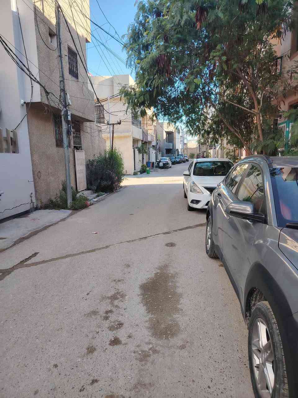 سلام عليكم دار للبيع مساحه 100م الواجهة 8 ونزال 12 ونص عرض الشارع9م الموقع سبع ابكار شارع مشتل عايد سند25 لتواصل و الاستفسار اتصل على الرقم ***********
