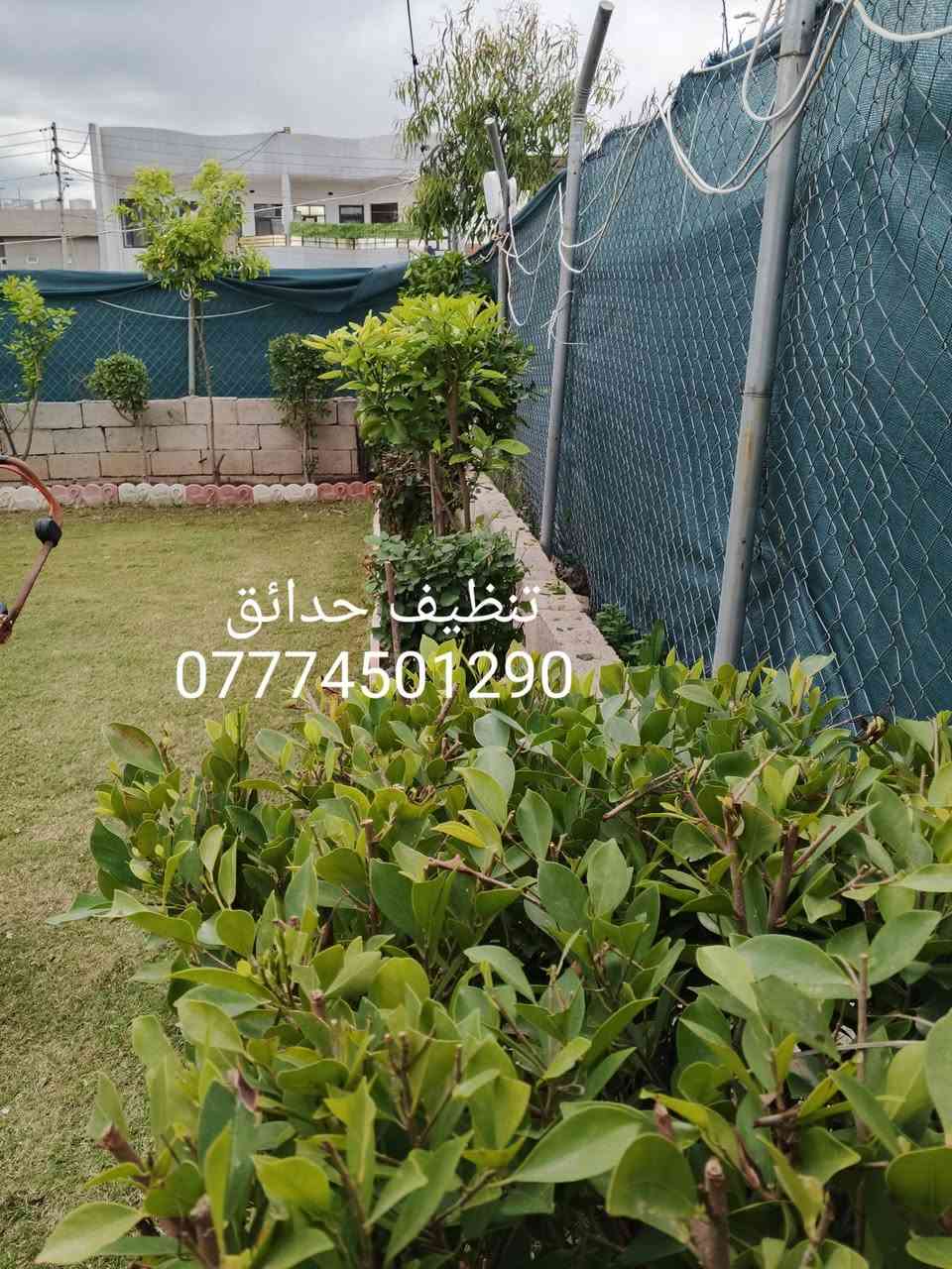 تنظيف حدائق تقليم الاشجار
تصميم وديكورات حدائق  
زراعة الاشجار والشتلات والورود والثيل بأنواعة هندي إيطالي 
ورقي فرنسي 
فرش زميج ترميم الحدائق القديمة وكل ما يخص الحدائق كركوك اقضية ونواحي 
*********** اتصال 
*********** واتساب
