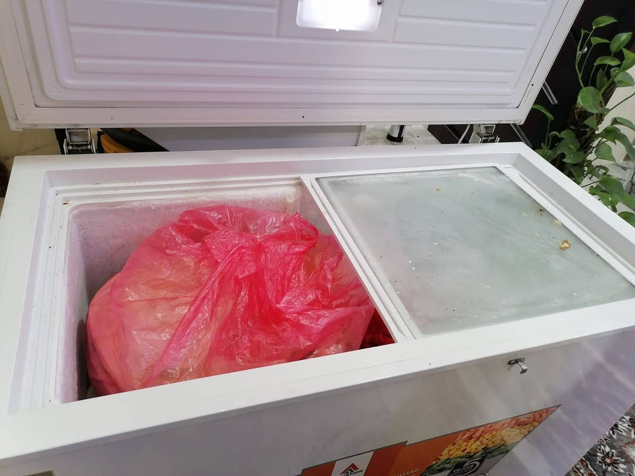 مجمده اخت الجديد استعمال بسيط ب300 سبب البيع حجمه صغيره يردون اكبر عنوان فلوجه حي نزال


**إذا كنت صاحب هذا الإعلان وتريد حذفه لأي سبب، رجاءا أرسل رسالة إلى الدعم الفني**