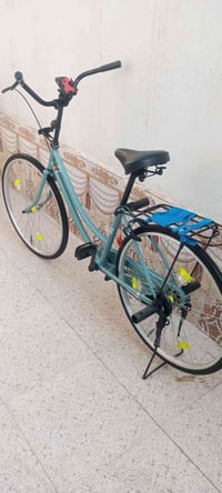 باسكل • ٢٠٢٢