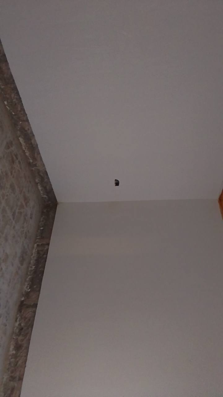 يالله كادر من الفلوجه متكون من خلفات ثنين متفرغين من العمل حالين مبيت بنفس البيت التزام بلعمل شغل كبان خيط مصاطر واسعار مناسبه ورزق ع الله ***********
