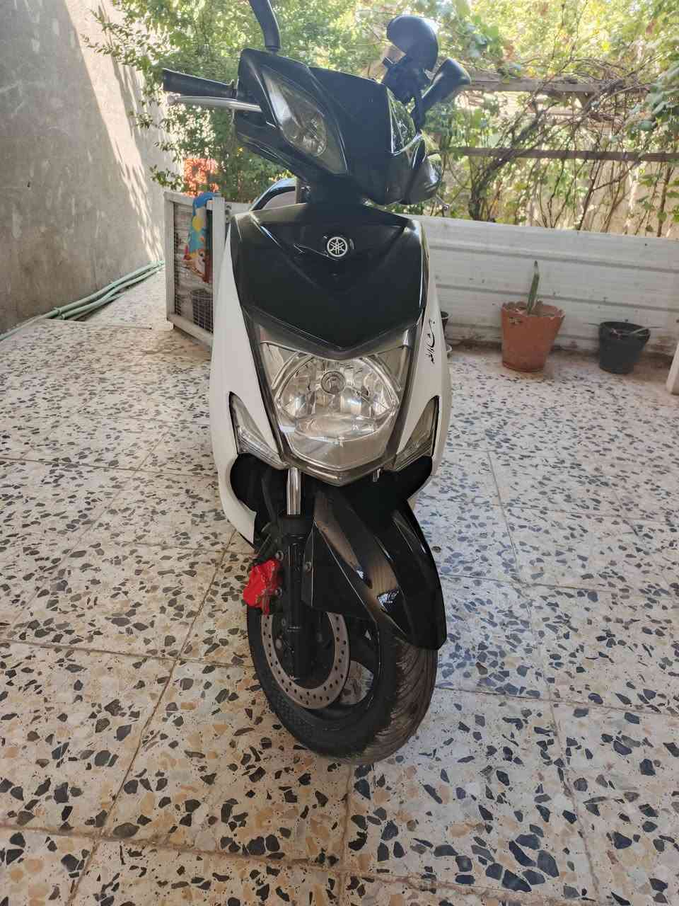 يا لله السلام عليكم سكنس لد للبيع او مراوس حسب القناع السعر مليون 400وبيهه مجال بسيط اتواصل ***********
