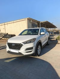 توسان • ٢٠١٩ • قضاء الخضر