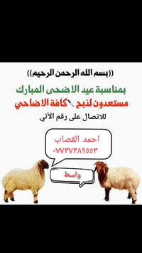 عيد_الأضحى • حجوزات • واسط