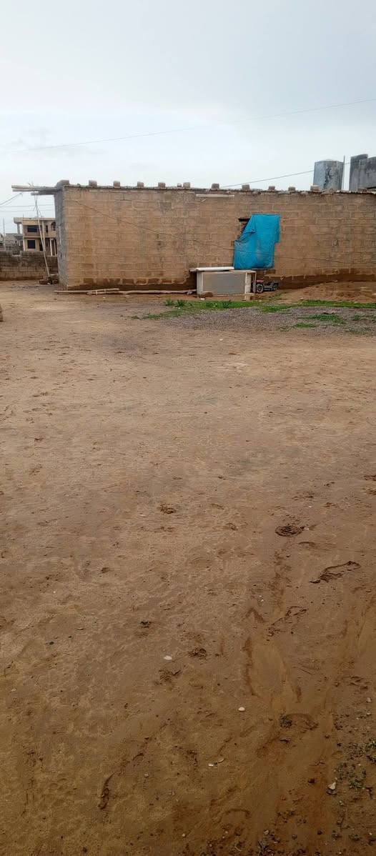 السلام وعليكم. قطعه ارض للبيع مع بيت مشتمل مساحه الارض 600 متر جميله قرب جامع الرزاق للاستفسار ***********
