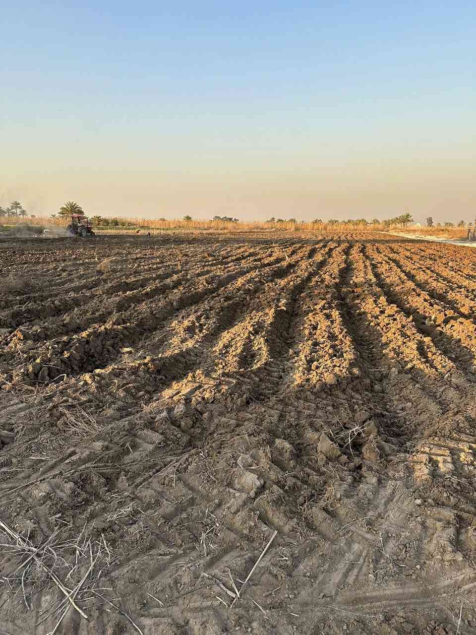 سلام عليكم
آرض للبيع ارض كلش حلوة ومخدومه تحويل مباشر سند/٢٥/مساحة الأرض/٤/دوانم كافه الخدمات متوفره ماء سقي ماء اساله كهرباء تبليط تنباع حسب طلب تصلح لكل شي عنوان بغداد اليوسفيه جسر صبار 
استفسار اكثر ***********
