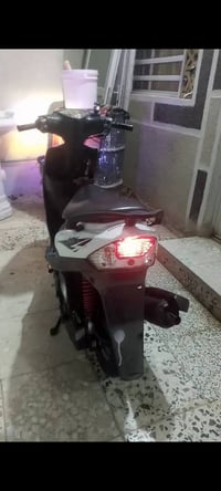 فول • مگفول • معرض بلاد49