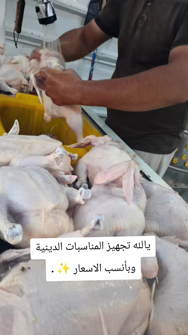 يتوفر دجاج كافة الاوزان وبأنسب الاسعار
ذبح على الشريعة الإسلامية وبذمتنا 🐔💯👌 
دجاج شرط محلي وعلف صحي يعني الدجاج مابي زفر 👌✨
تجهيز كافة المناسبات وتقطيع حسب الطلب 🩷🐔
العنوان :بداية شارع حي النصر مقابل محطة غسل السيارات 📍
*********** / *********** 📱
