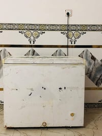 مجمدة • للبيع