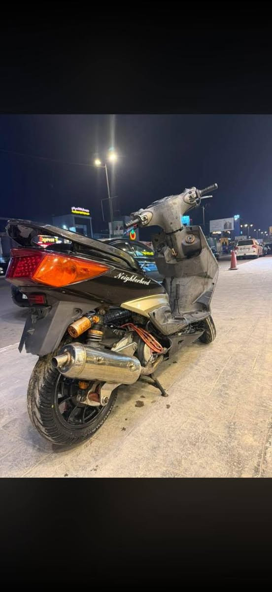 سكنس فحل للبيع كامله نقصه بس بجم وسن كور مسحوك السعر خاص ورقمك***********
