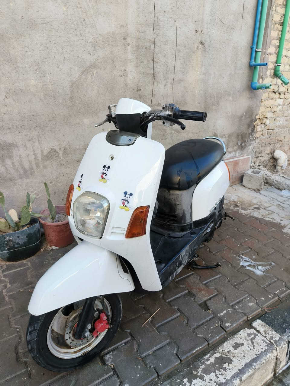 ماكس بوليس (كابريتر) للبيع السعر 750الف وبيه مجال مكاني (بصره كرمة علي) الدراجه نضيفه ومابيها اي نقص الشراي خاص مفتوح واتساب مفتوح ***********
