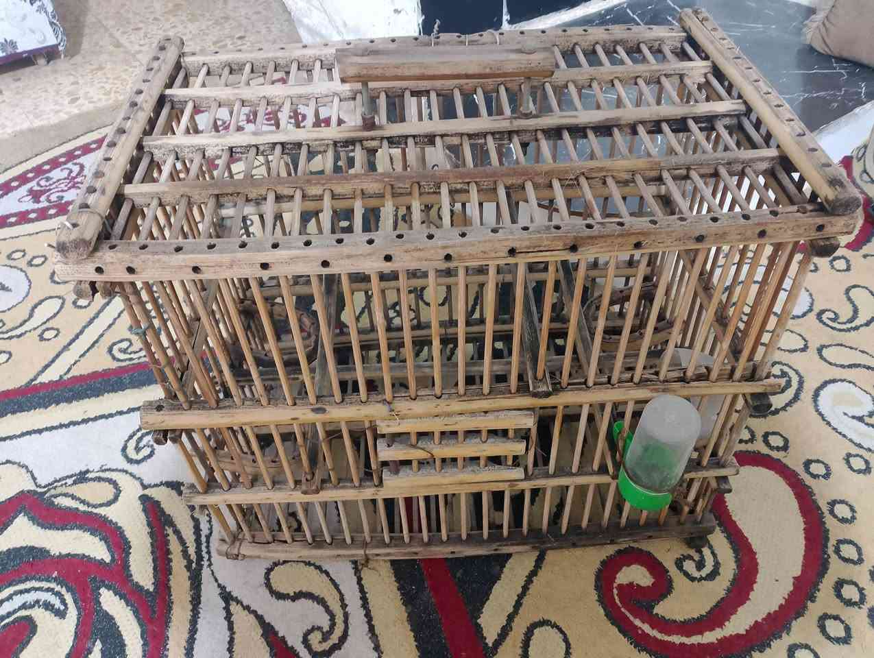 قفاصه لبيع مناسبات شراي هاذه رقمي ***********
