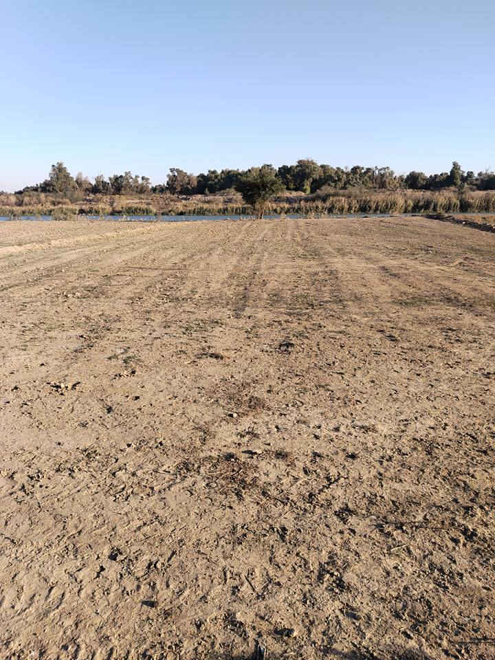 سلام عليكم دونم عقد زراعي على الشط واجهه الأرض تقريبن ٤١ متر من جهه الشط حي الحكيم قرب المجسر الميناء ومتوفر فيها كهرباء  السعر32 مليون وحالين يمه اكو بناء متنفسات باقي دونم واحد فقط الاتصال على صاحب الأرض الحاج ابو عزام الواسطي ***********
