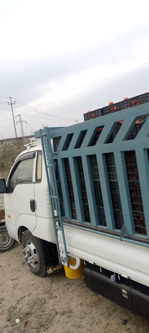 سلام عليكم فحل مسكر 2017 مكفول كفاله عامه مكينه مجول جاف
انه مكلف بنشر اتصل عله هاذه الرقم
***********
