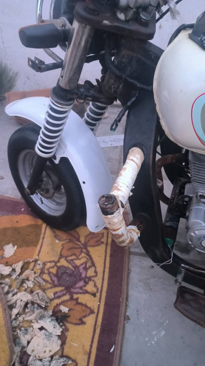 ستوتة اوراق كاملة. مديلل.  17. فحل تجي البليتة جوة  سعرر 1150. ستوتة. نظيفة كلشش وهاذةرقمي.  مستعجل 
‏‪0781 249 8785‬‏
